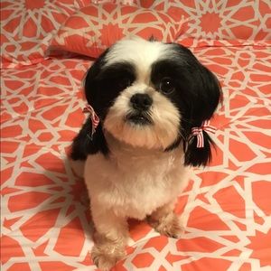 Meet your Posher, Claudia